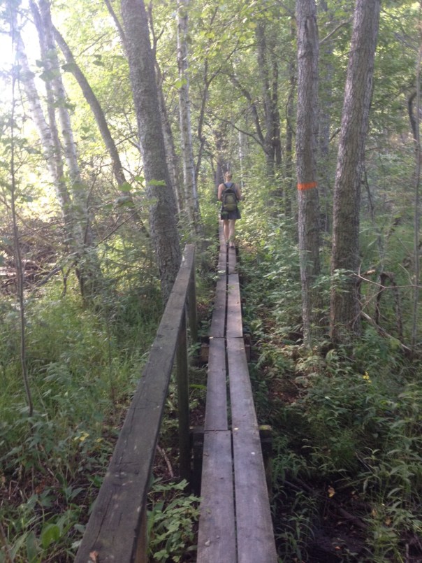 Getting lost in the forest